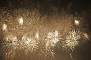 chamarande 081 * 3504 x 2336 * (3.99MB)